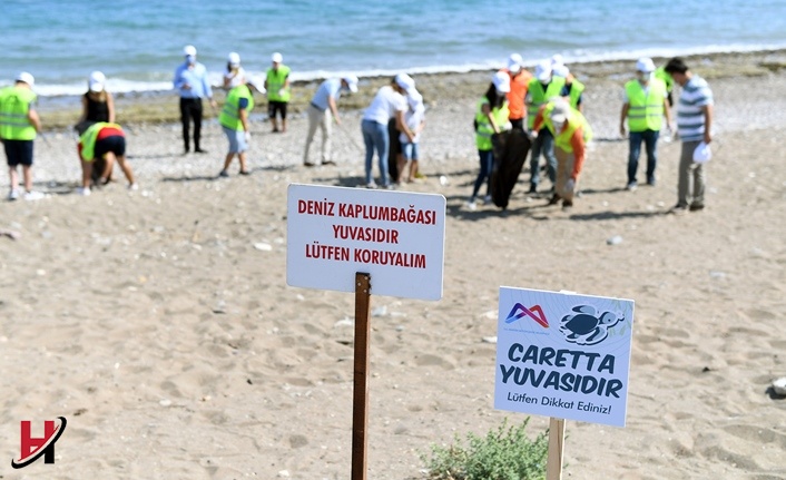 Çevre Haftası’nda Büyükşehir’den Caretta Caretta Farkındalığı
