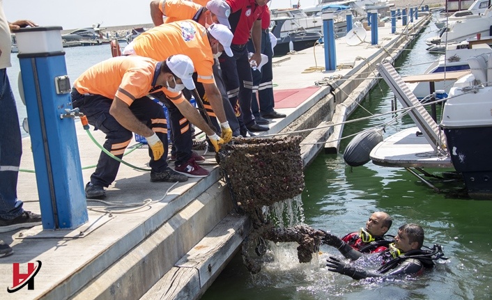 Mersin’in Tek Mavi Bayraklı Marinasından Çıkan Çöpler Şaşırttı