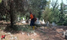 Büyükşehir Tarsus’ta Cami Dezenfekte Ve Mezarlık Temizlik Çalışmalarını Sürdürüyor