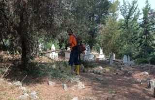 Büyükşehir Tarsus’ta Cami Dezenfekte Ve Mezarlık...