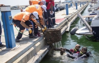 Mersin’in Tek Mavi Bayraklı Marinasından Çıkan...