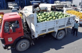 Tarsus'ta 10 Ton Karpuz Vatandaşa Ücretsiz...